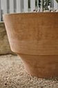 Cassini Pot