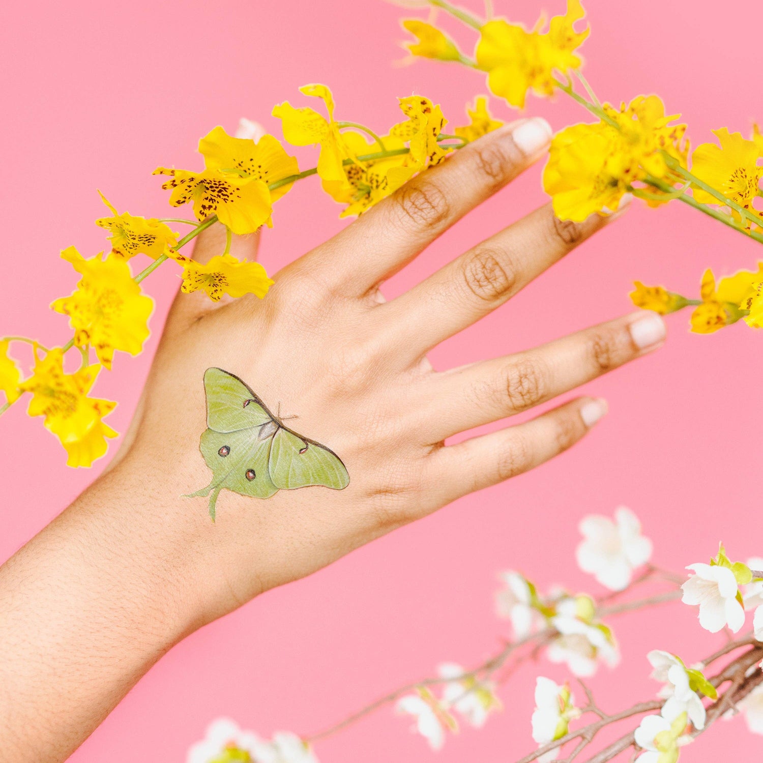 Butterfly Tattoo Tin