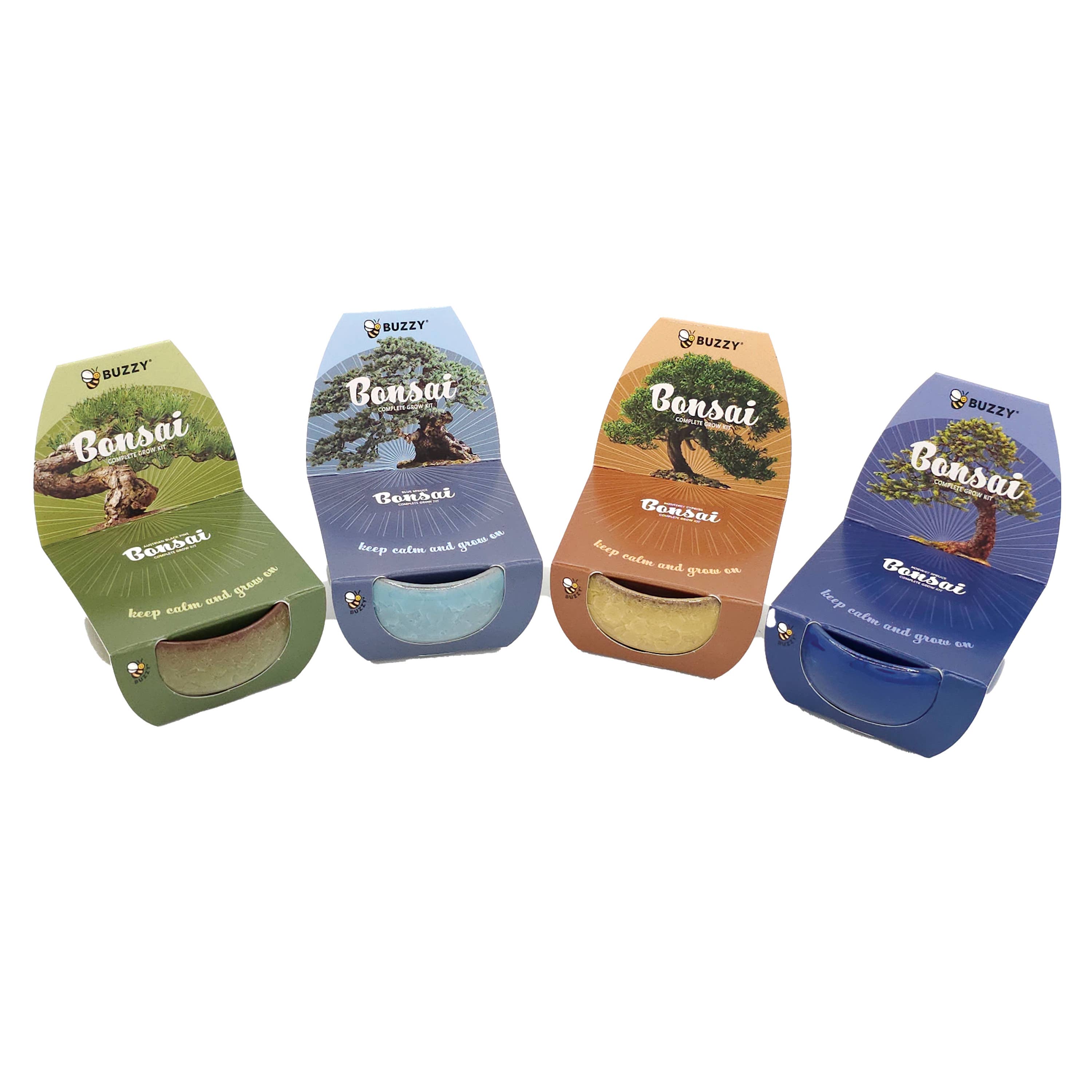 Bonsai Tree Grow Kit Assorted