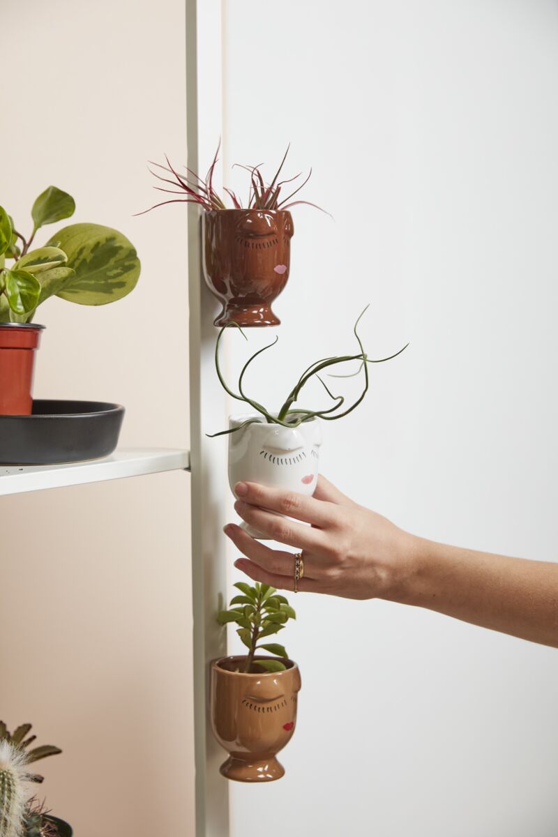 Celfie Magnetic Pot
