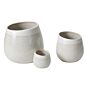 Choice Pot