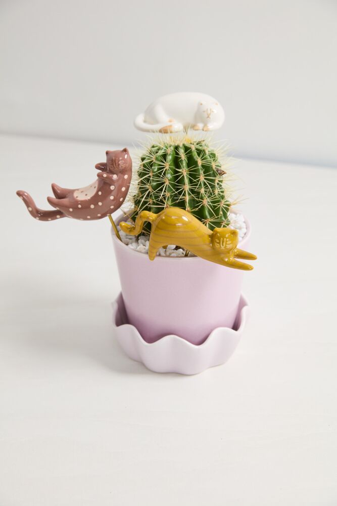 Curious Cats Plant Sticks