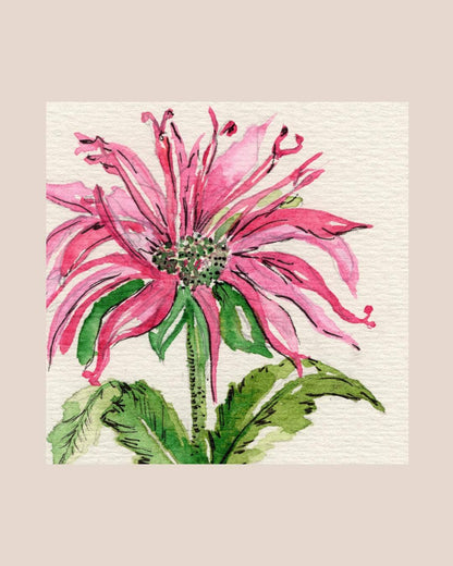 Wildflower Watercolor Print Botanical Wall Art