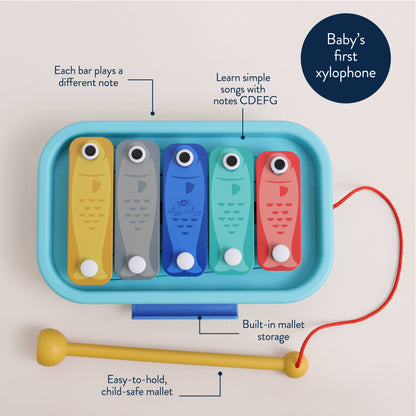 Xylophone Music School