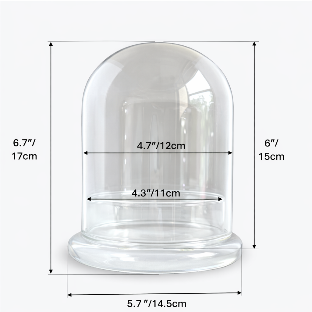 Large Glass Dome