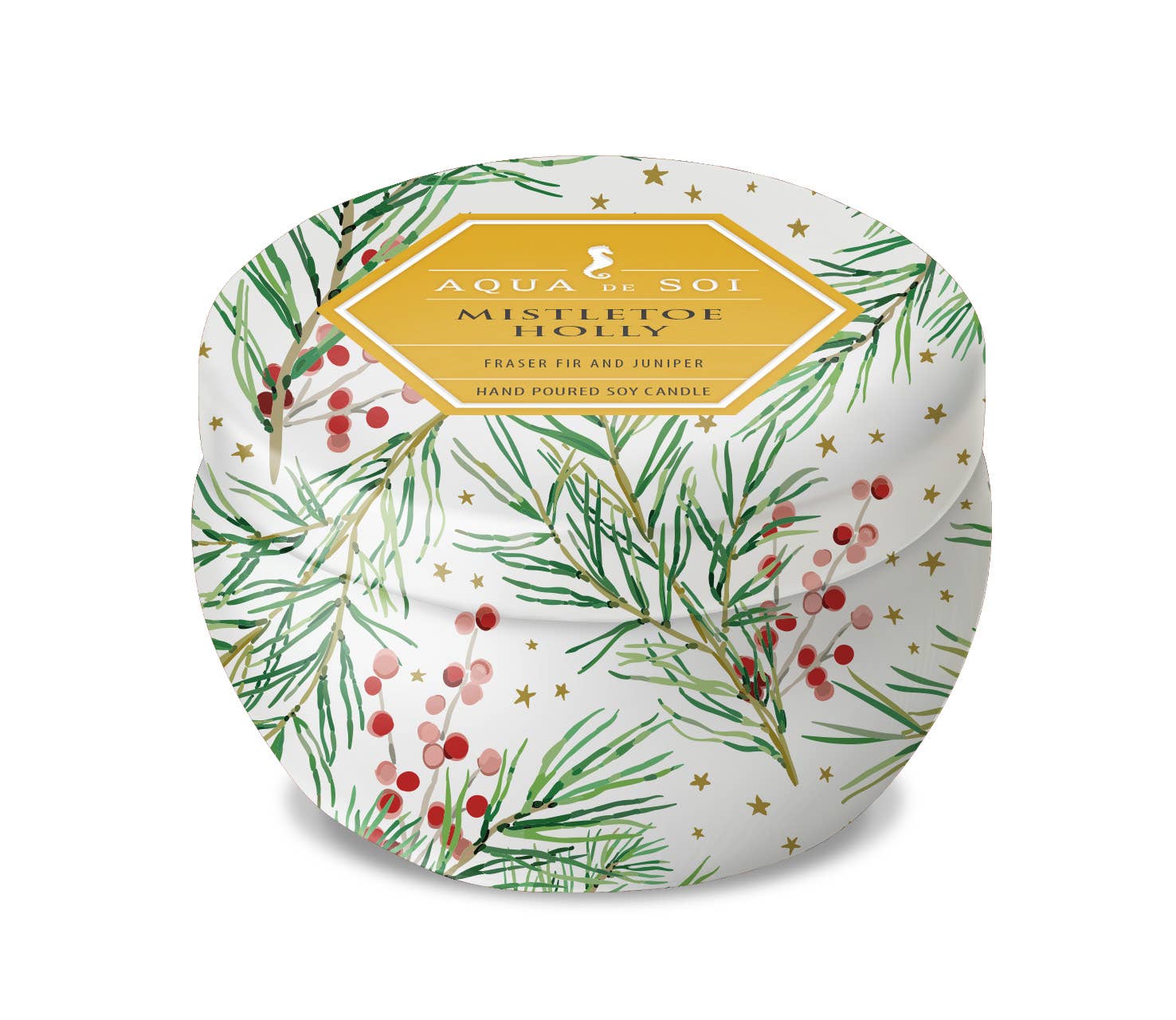 Mistletoe &amp; Holly Candle 4oz Petite Aqua De Soi Tin