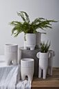 Dache Pot with Saucer