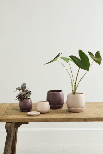 Dalton Pot with Saucer