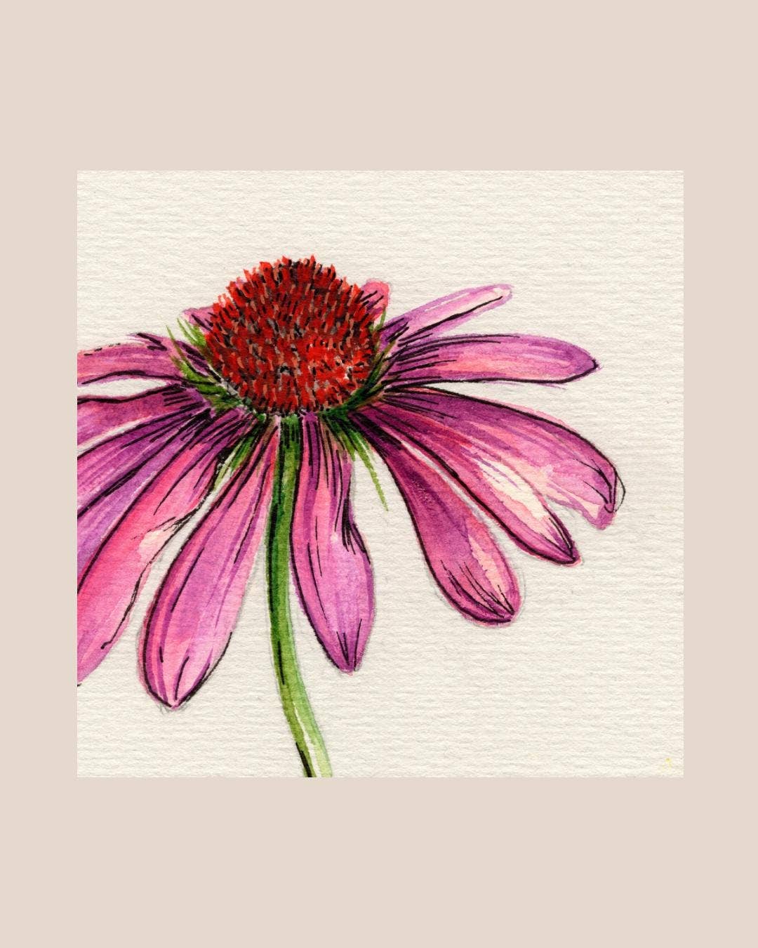 Wildflower Watercolor Print Botanical Wall Art