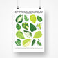 Species ID Chart - Botanical Houseplant Art Print