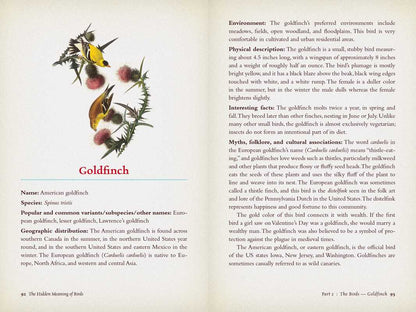 Hidden Meaning of Birds