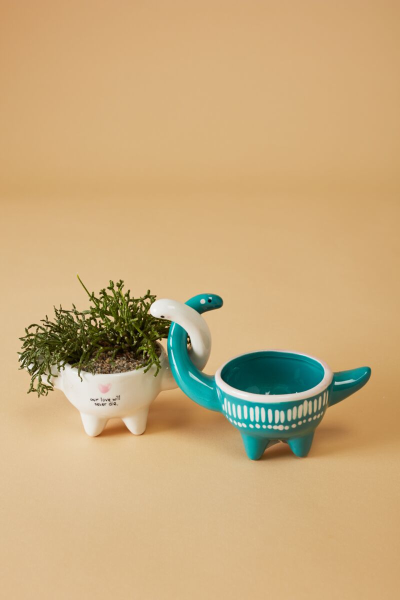 Dino Love Pots
