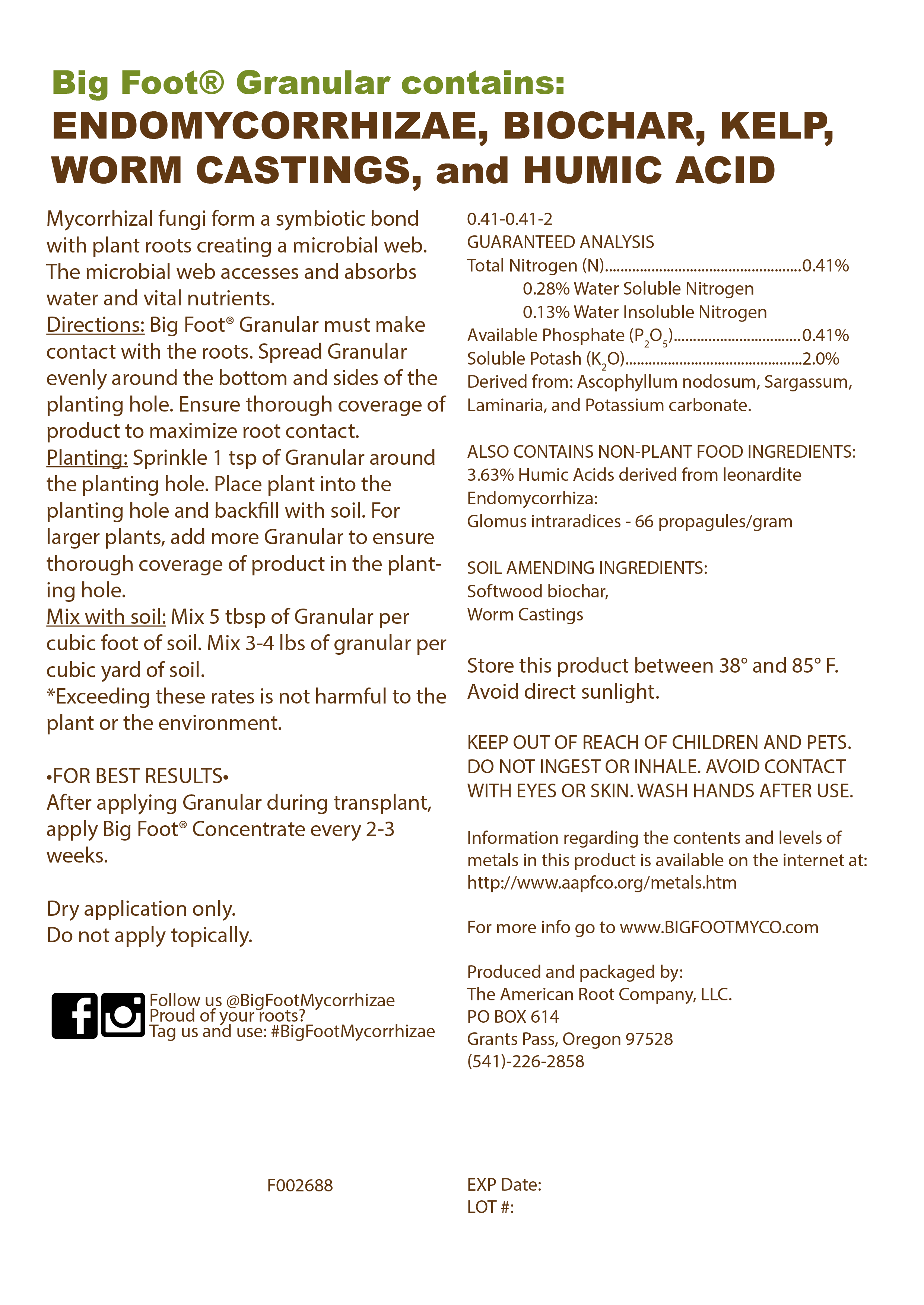 Big foot mycorrhizal fungi