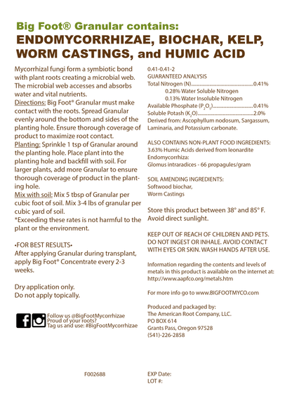 Big foot mycorrhizal fungi