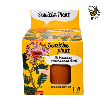 Sensitive Plant Grow Kit