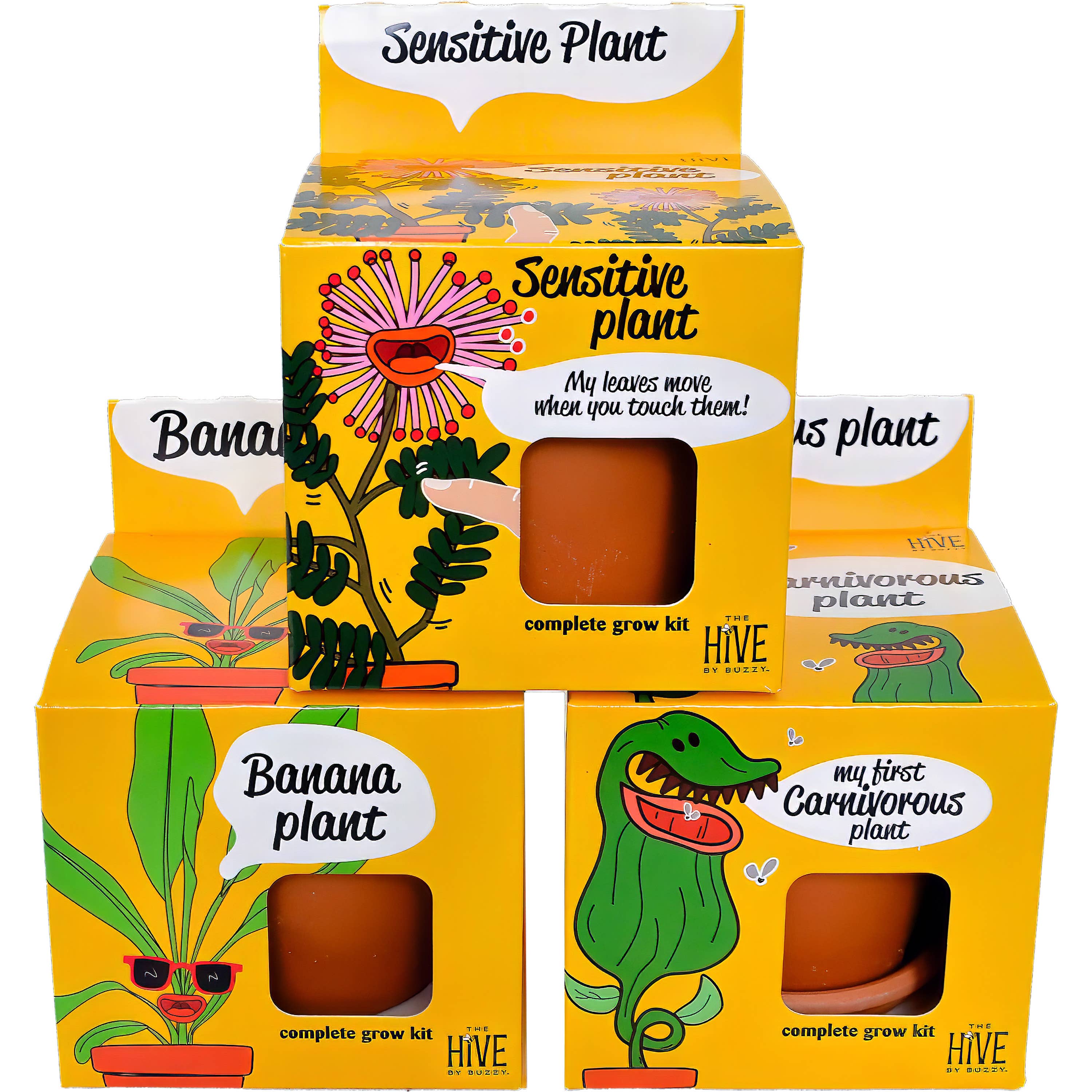 Sensitive Plant Grow Kit