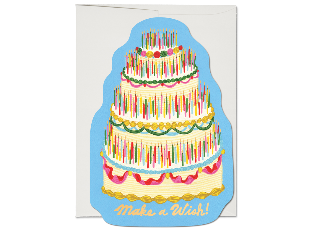 Make a Wish birthday