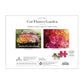 Floret Farm&
