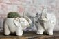 Elephant Pot