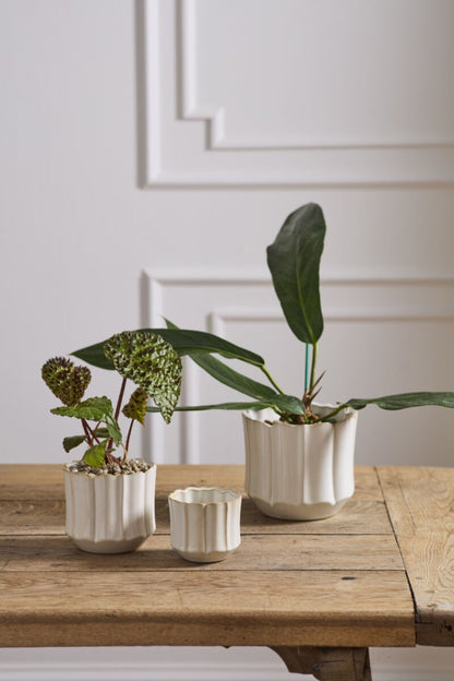Everleaf Pot