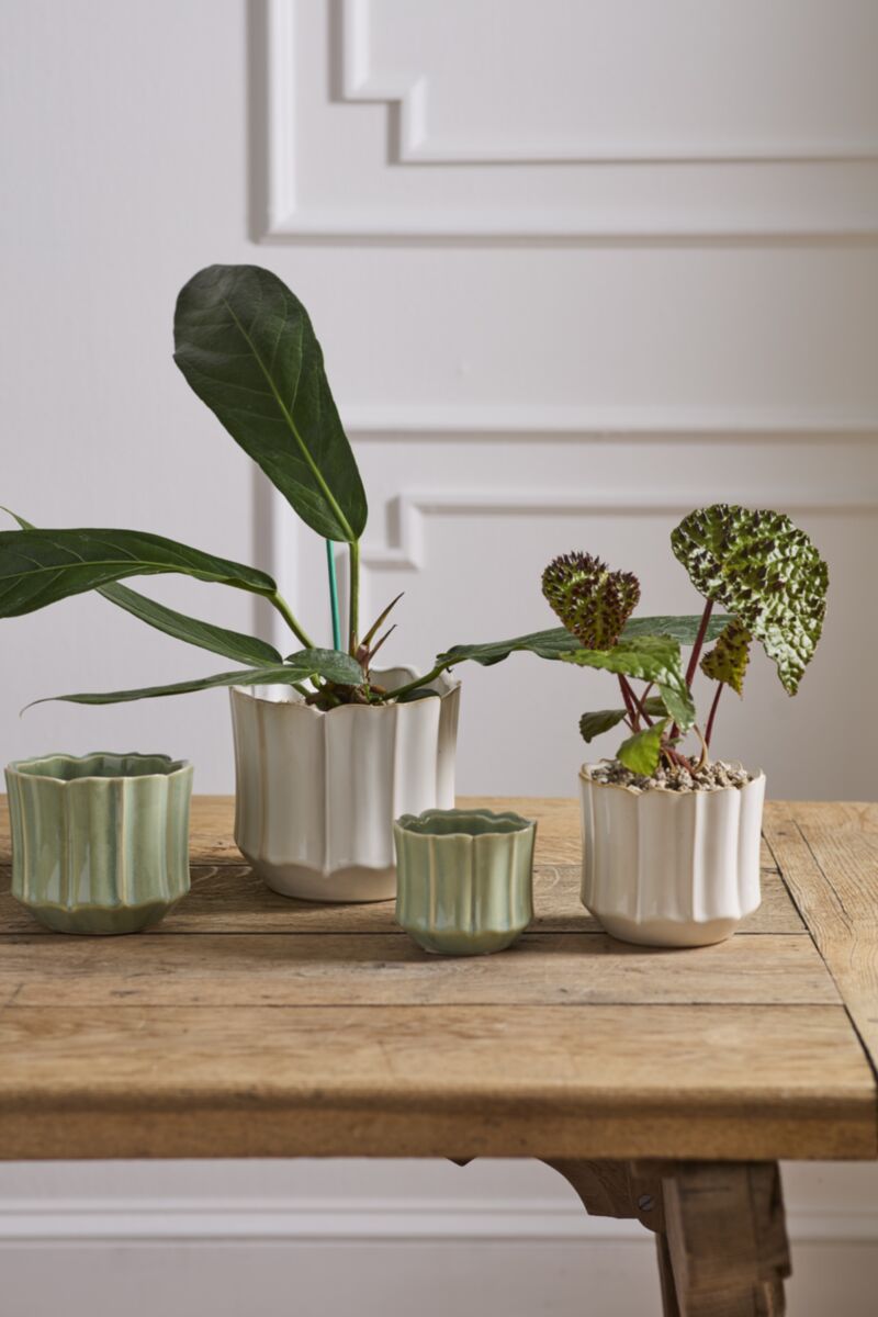 Everleaf Pot