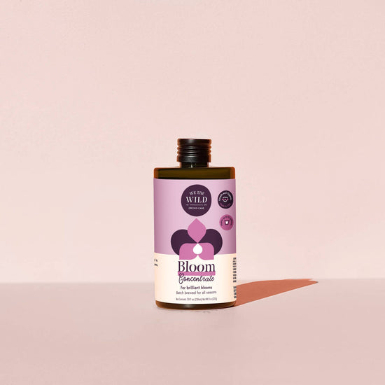 We the Wild Bloom Concentrate (8 fl oz)