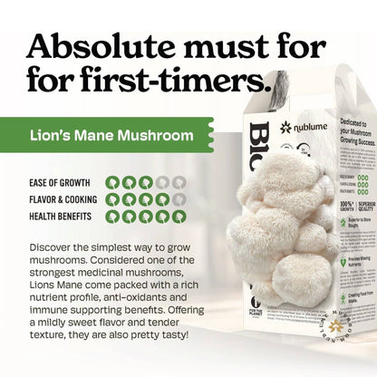 Lion’s Mane Mushroom Grow Kit