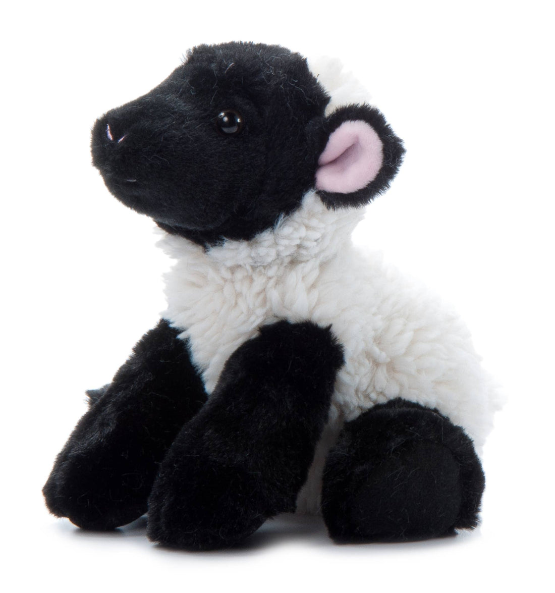 Wild Onez Lamb
