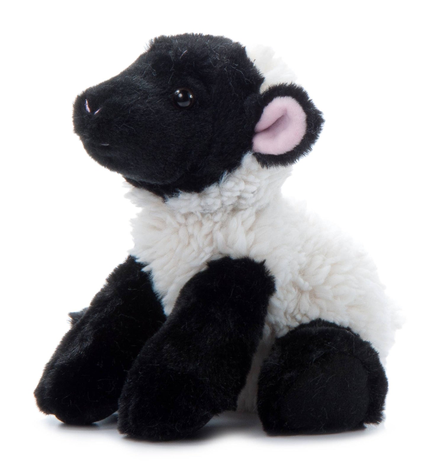 Wild Onez Lamb