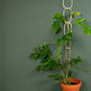 Gold Brass Chain - Plant Support for climbing plants