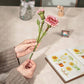 Pink Carnation