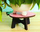 Sweet Strawberry Plant Stand - Wood Plant Holder