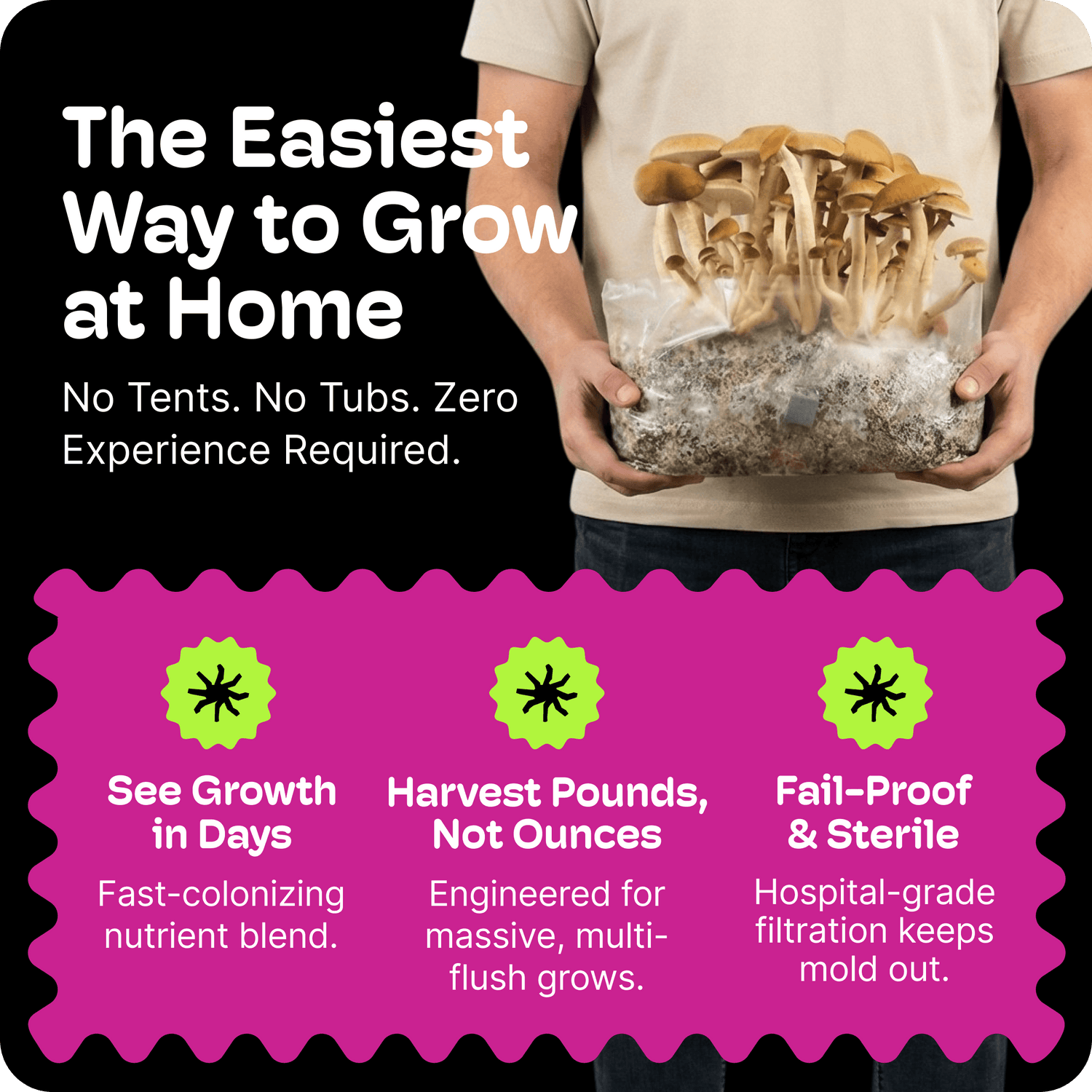 All-In-One Mushroom Grow Kit