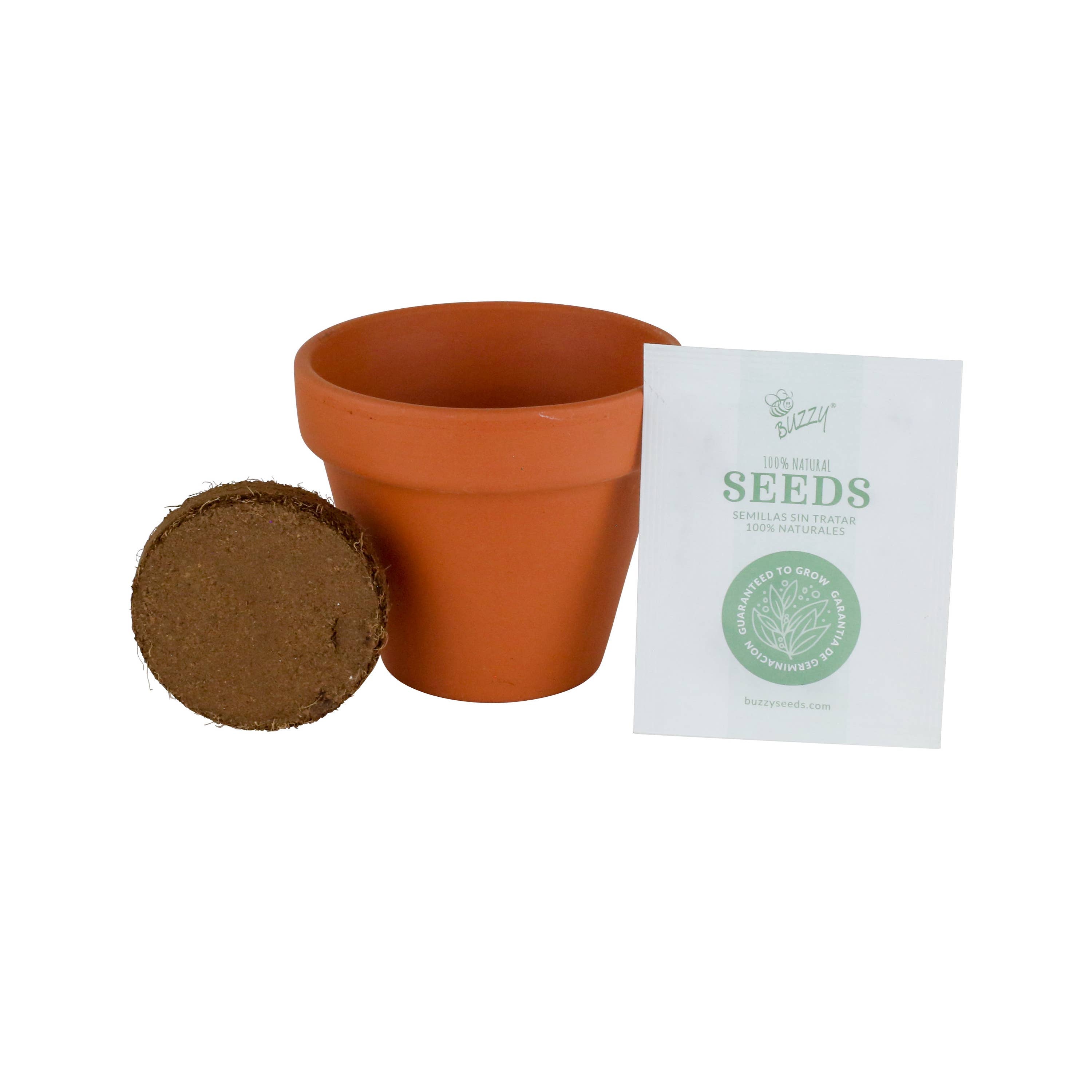 Buzzy Cactus Grow Kit
