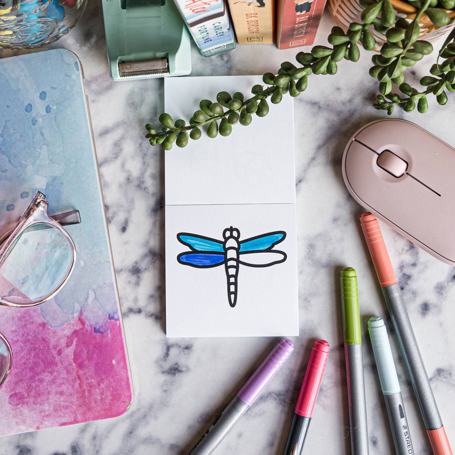 Birds Bugs and Botany Coloring Book