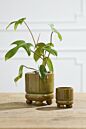 Ferris Footed Pot