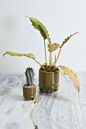 Ferris Footed Pot