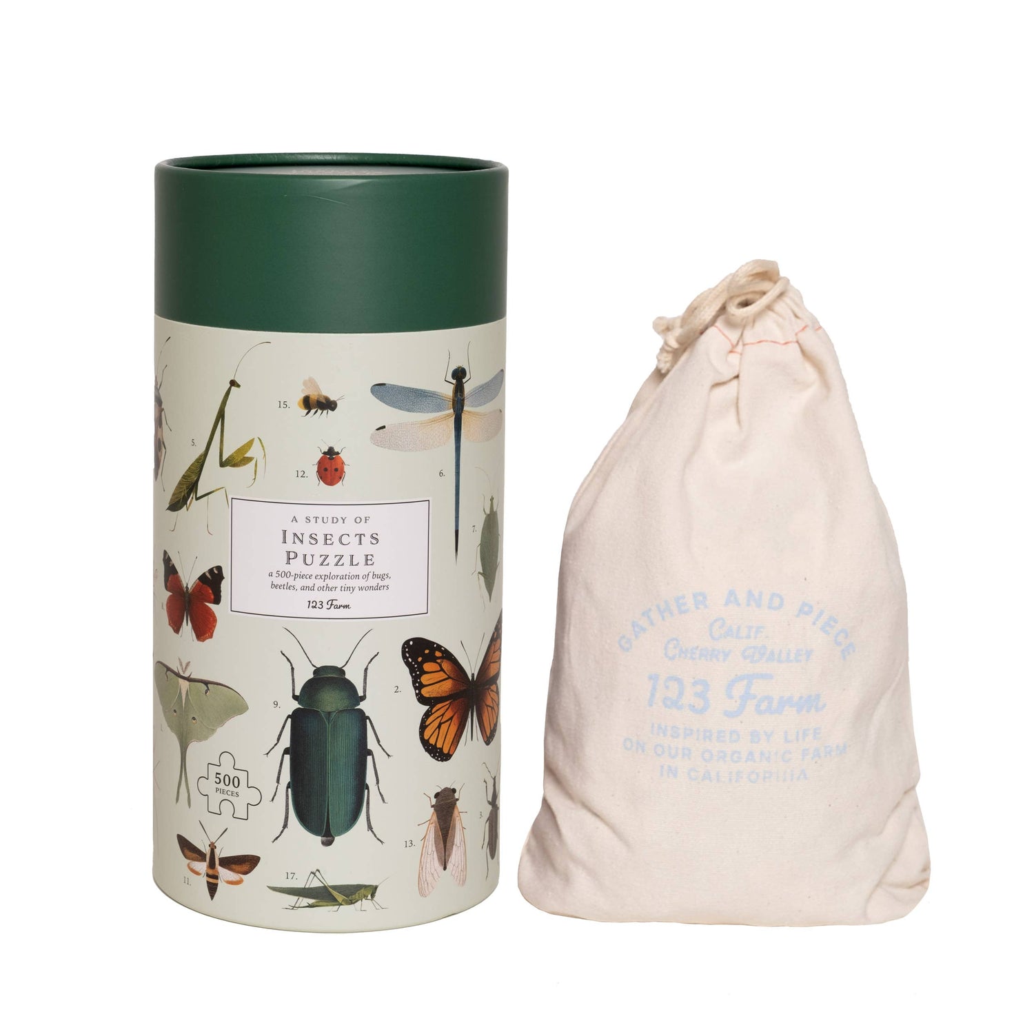 Insects Puzzle