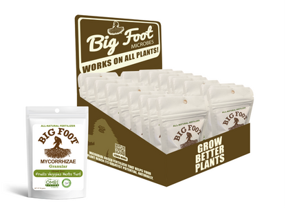 Big foot mycorrhizal fungi