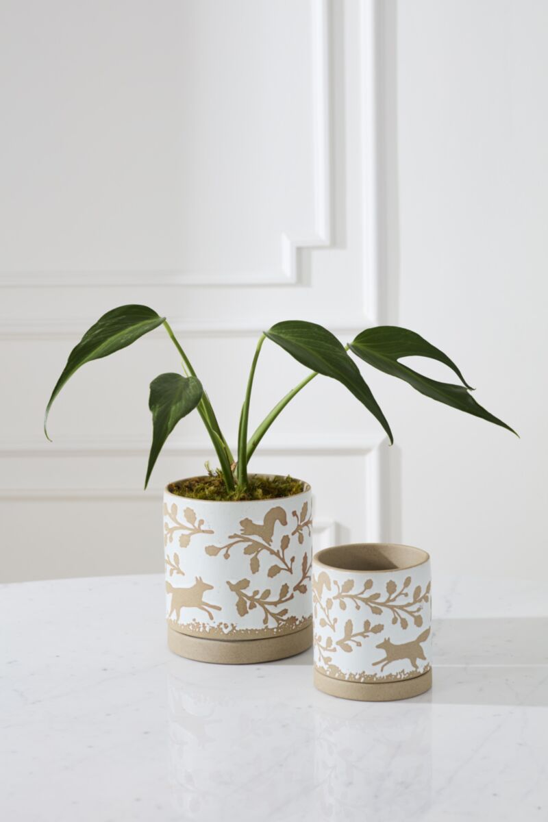 Foxtail Pot with Saucer