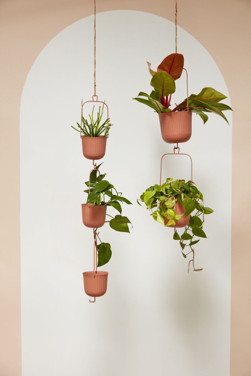 hanging terracotta plant pots Gemini Hanging Pot