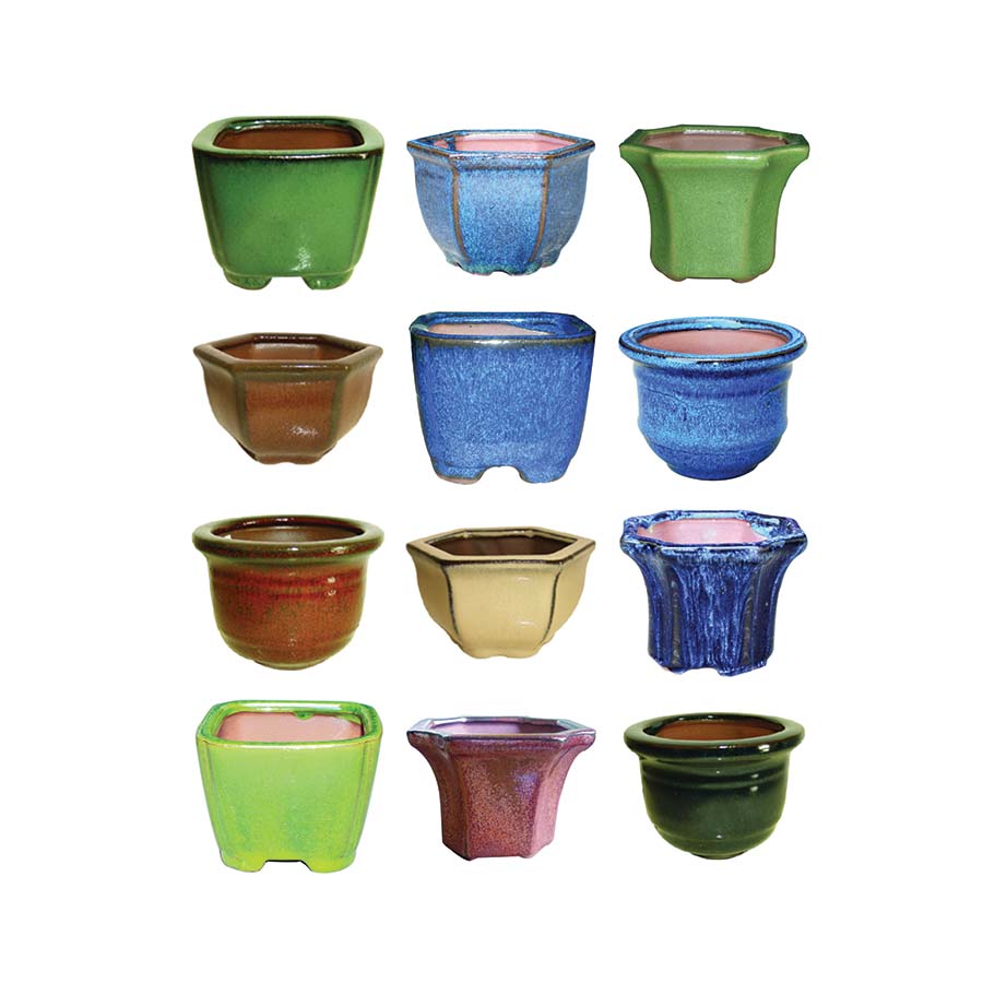 Bonsai Pot Assorted