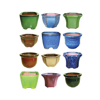 Bonsai Pot Assorted