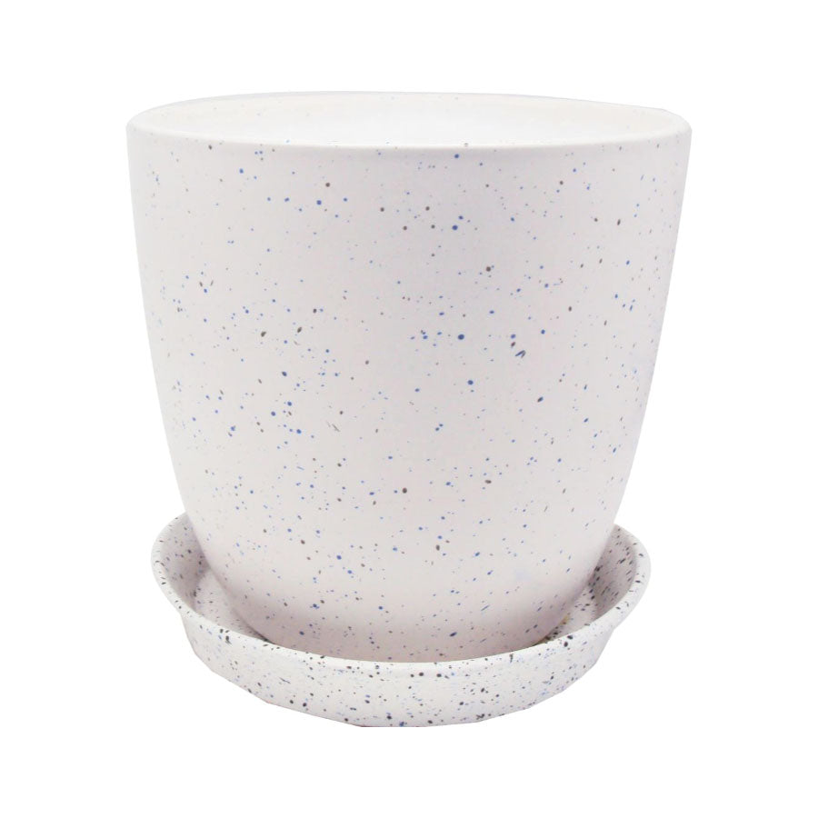 Tom Planter