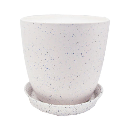 Tom Planter