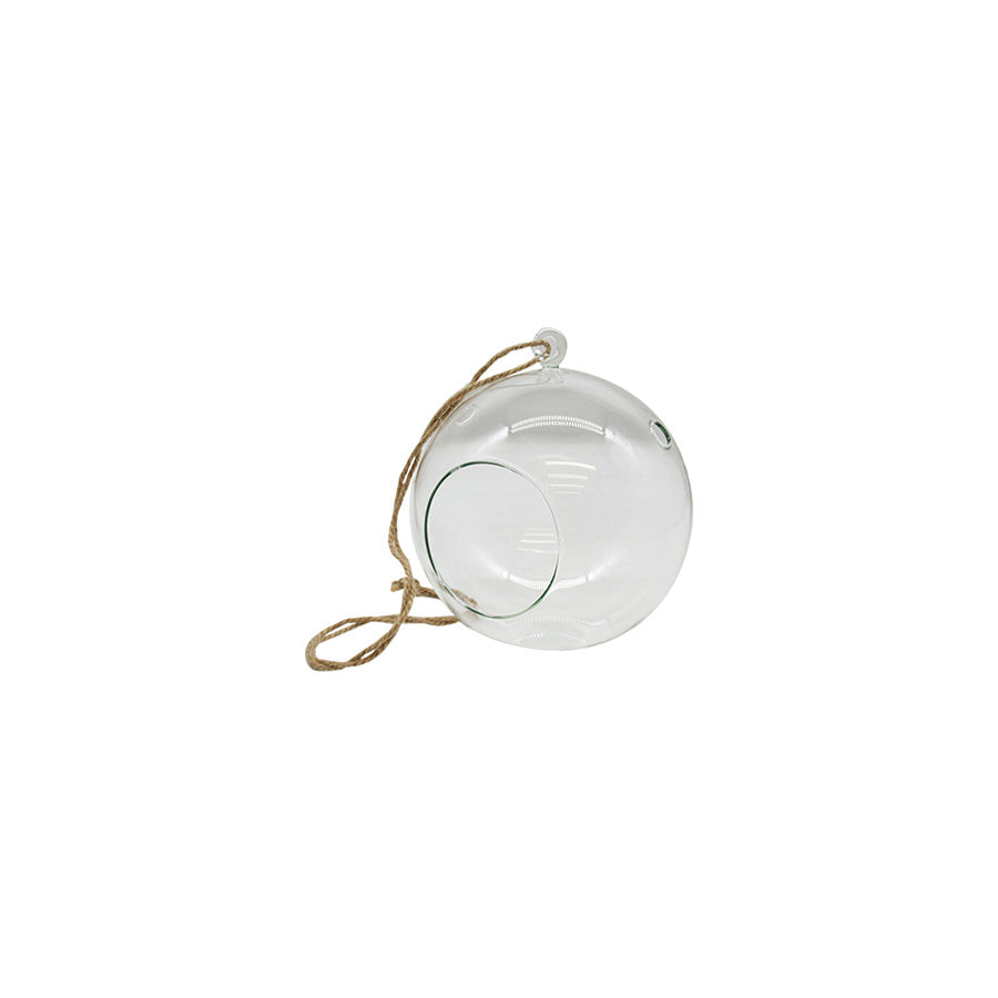 Hanging Rondure Terrarium