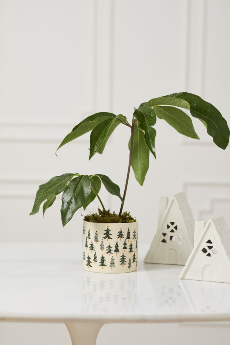 Happy Little Trees Pot