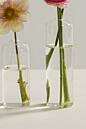 Highball Budvase