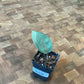 Hoya Silver Dollar