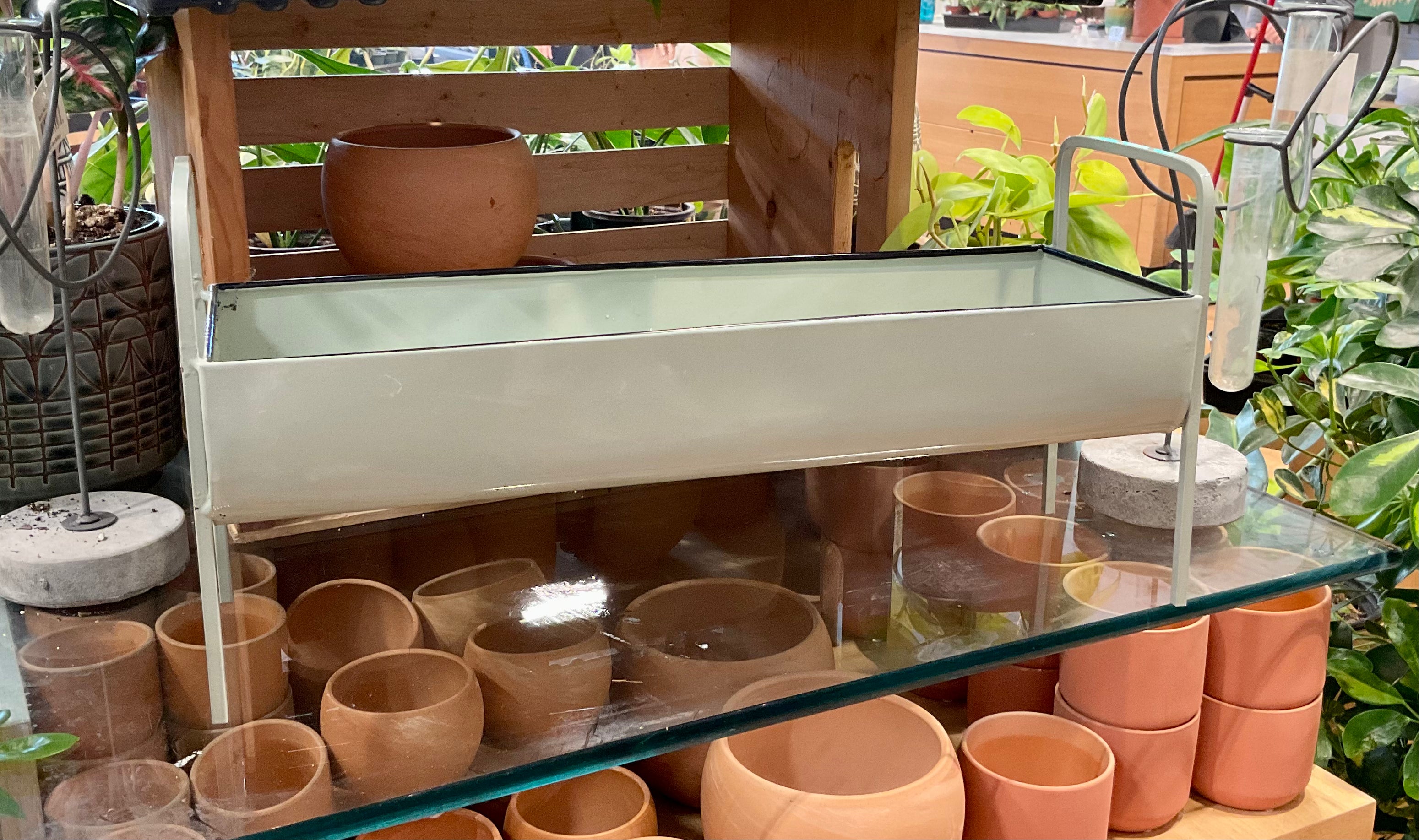 Minty Planter